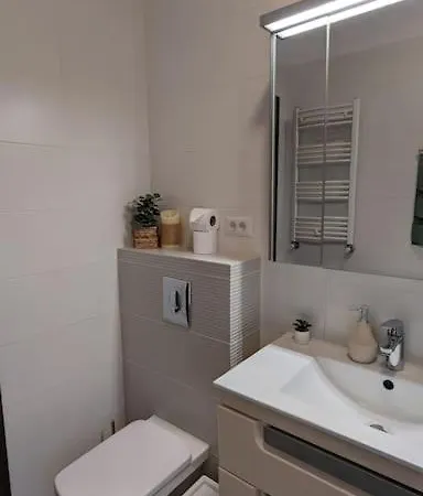 Blissful Unirii Apartment *